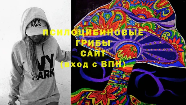 ГАЛЛЮЦИНОГЕННЫЕ ГРИБЫ Алзамай