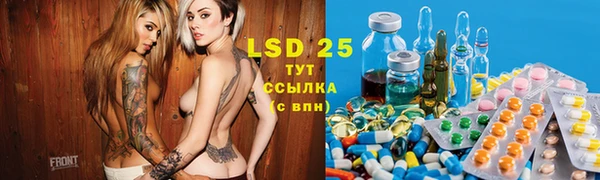прущие грибы Алексин