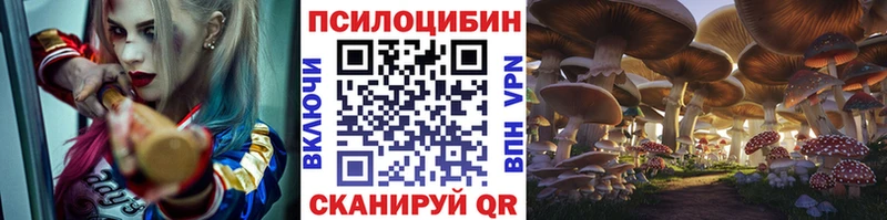 Псилоцибиновые грибы MAGIC MUSHROOMS Южно-Сухокумск